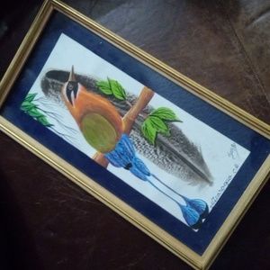 Nicaragua Motmot Bird Feather Painting Framed Vibrant